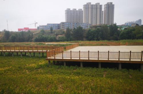 榆林人的天然氧吧 (6).jpg