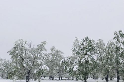 1702855600288897.jpg